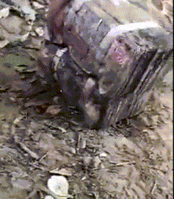 搞笑走路的gif,GIF动图带你领略欢乐瞬间