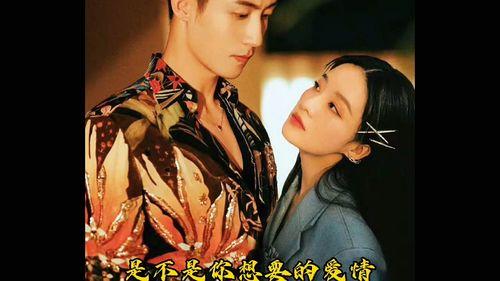 郎才女貌演员表,演绎一段才子佳人传奇的爱情故事