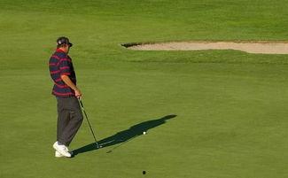 娱乐体育运动,探索娱乐体育运动的魅力世界