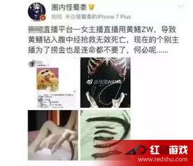 女主播黄鳝视频连接,揭秘网络直播的黑暗面