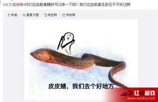 女主播黄鳝视频连接,揭秘网络直播的黑暗面