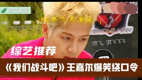 综艺推荐搞笑,笑点爆棚！盘点那些让人捧腹大笑的综艺盛宴