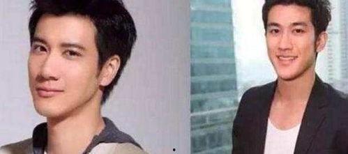 香港双胞胎明星,双生闪耀，星途璀璨