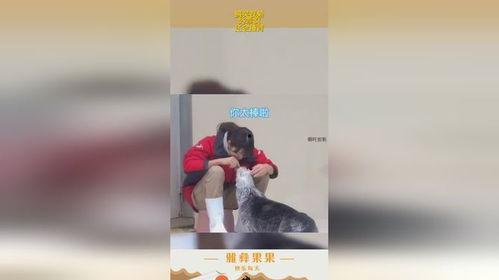 捶背的搞笑视频,让你瞬间忘却烦恼